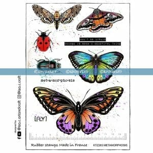 tampon-scrapbooking-caoutchouc-non-monté-planche-A5-papillon-papillons-metamorphosis