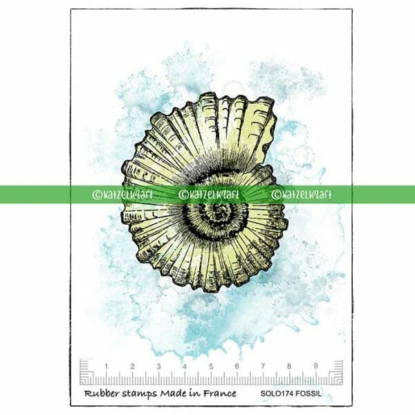 stamp-scrapbooking-rubber-unmounted-board-A7-fossil-shell-SOLO174