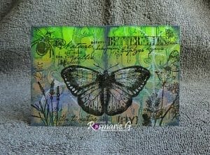 metamorphosis butterfly and insect pads a5